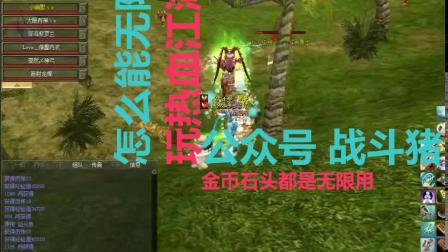 热血江湖s